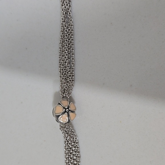 Pandora Bundle - Picture 4 of 7